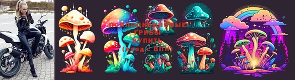 МДПВ Богородск