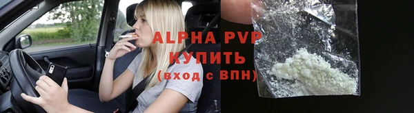 PSILOCYBIN Богданович
