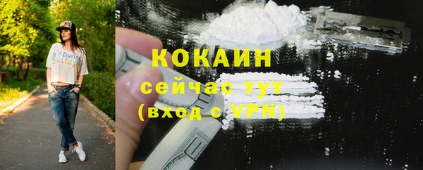 МДПВ Богородск
